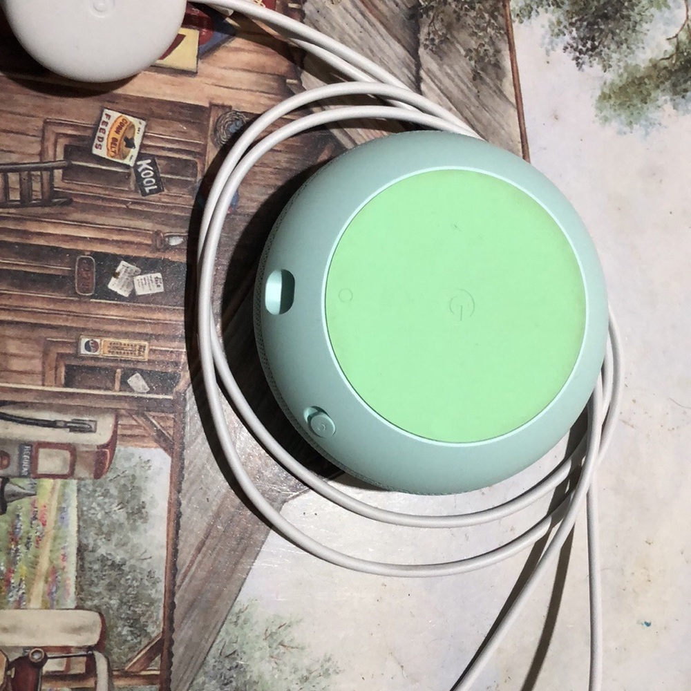 Google home mini